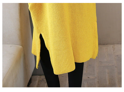 Women Long Sweater